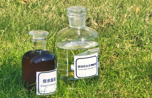 地溝油變身高性能航空燃料 國產(chǎn)大飛機試飛成功背后的綠色動力革命